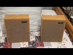 Rauland ACC1201 School Intercom Speaker Pair Overview