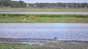 1.6M views · 115 reactions | Briana's trying to find balance in all that she's dealing with on tonight's Teen Mom 2.  Don't miss an all-new episode, tonight at 8/7c on MTV. | MTV | Facebook