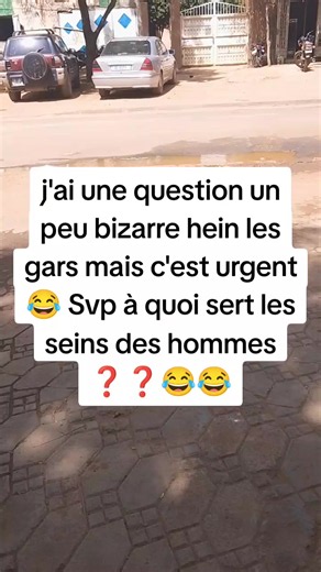 À quoi servent les seins des hommes ?