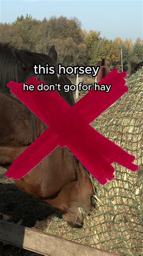 DID YOU KNOW THE SECRET TO A STRESSLESS WEEKEND?! 🐴 #urbanair #trampoline #familyfun