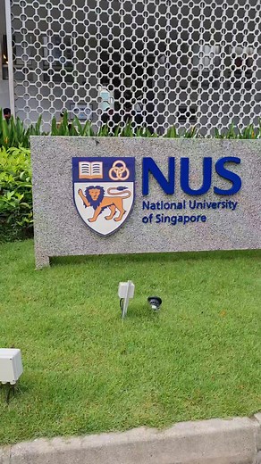 2.9K views · 100 reactions | Singapore: Day 4-6 Lectures sa Lee Kuan Yew School of Public Policy sa National University of Singapore, Awarding of Certificates and going home. Thank you po Senator Francis Tolentino, Development Academy of the Philippines and the LKYSPP for the new learnings ❤️ #ForeignStudyMission #DAP #AGILEprogram #LeeKuanYew #Singapore #LagunaRepresent #vgkarenagapay | Atty Karen Agapay | Facebook