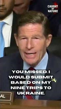 WATCH Heated Exchange as Blumenthal Grills Hegseth Over Iran Narrative