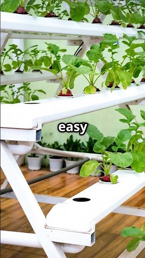 Grow Stunning Flowers at Home: Hydroponic Magic!