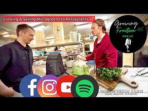 How to Grow & Sell Microgreens: Local Restaurant Delivery Day North Fresh Farm Microgreens Business