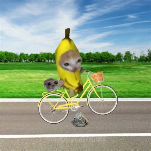 Banana Cat Just Wanted a Bike Ride