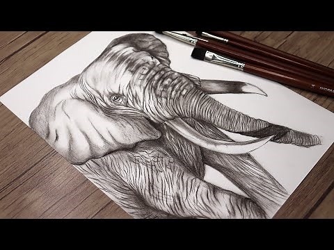 How I Drew the Most Realistic Elephant of My Life