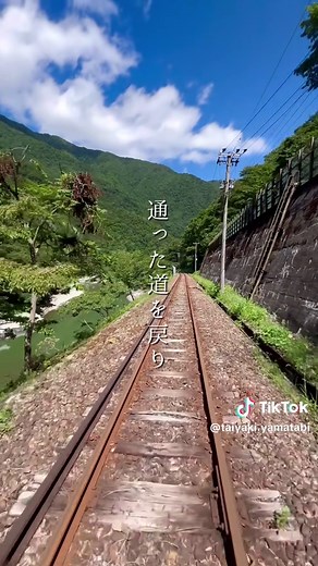 岐阜の絶景アクティビティ「ガッタンゴー」体験