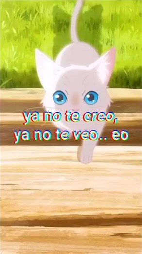 último video😓 #edit #cheems #memes #anime #sad