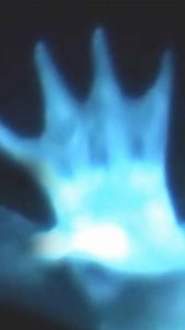 Diver's SHOCKING Mermaid Encounter! #mermaid #mermaids #ocean | Most Amazing Top 10