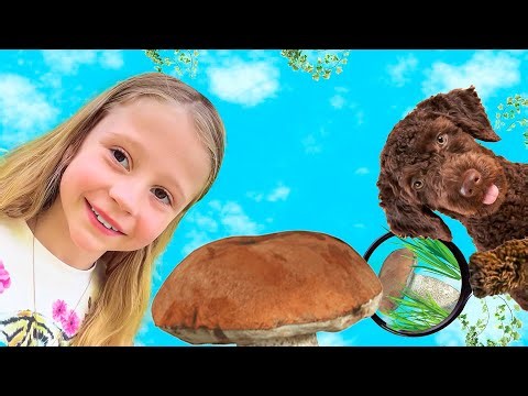 Nastya learns to cook deliciously