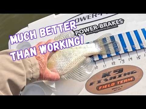 Who Cares If It Is A Little COLD!