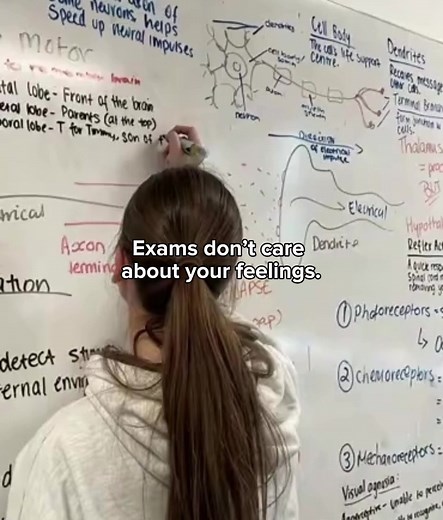 Discipline for Study Success During Exam Season