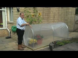 A Mini Polytunnel, ideal for a patio - V67