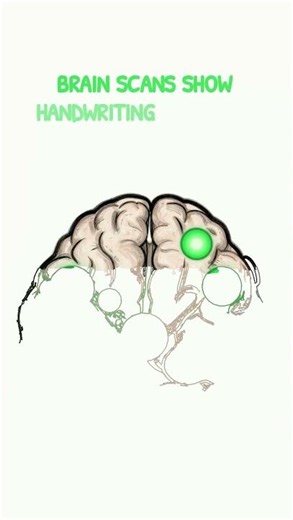 Why Your Keyboard Is Secretly Destroying Your Memory