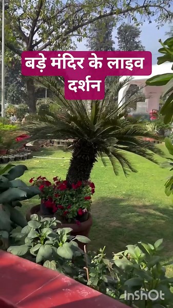Live Darshan of Bada Mandir #chattarpugurujimandir #gurujisatsang