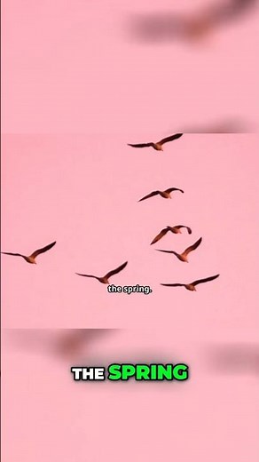 The Incredible Journey of Cranes: Nature's Greatest Migration