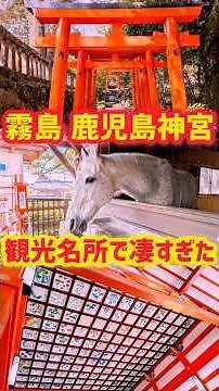 Kagoshima Shrine and its sacred horses were amazing! #KagoshimaTourism #KirishimaTourism #Kagoshi...