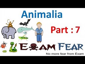 Segmentation: Animal Kingdom Video Lecture | Biology Class 11 - NEET