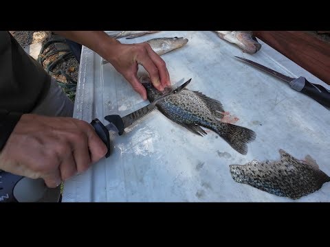 How To Clean Crappie - Easiest Way