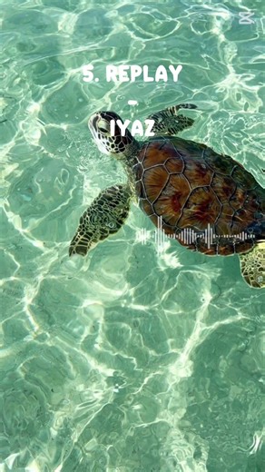 Sommer Lieder die in eure Sommer playlist MÜSSEN!👹😍