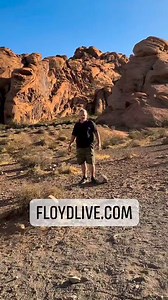 Pink Floyd Live on Reels