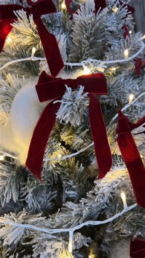 1.2K views · 21 shares |  Christmas is coming, and we’re ready for it! ✨ Welcome to our studio — we have various options: • Portrait session-2 outfits (including makeup): $200 • Single shots without makeup: $20/photo Contact us today to book your Christmas look!  | Tiffany- Makeup and Art | Facebook