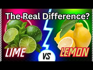 Lime vs Lemon: What’s the Real Difference and Which Is Healthier?