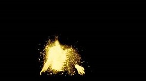 SWALLOWTAIL Lyrics - WOLF ALICE | eLyrics.net