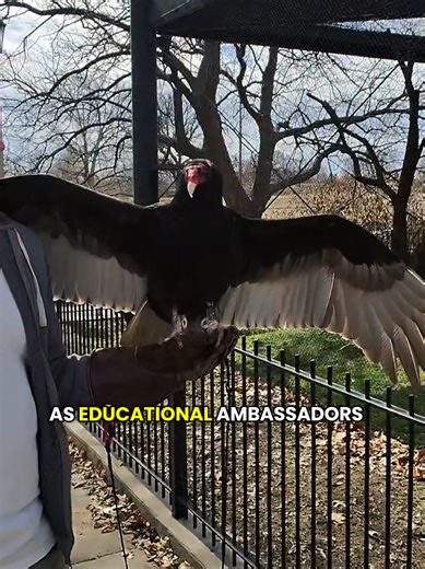 Explore the Kansas Wildlife Exhibit in Wichita