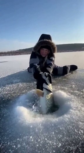 Young Woman Almost Catches a Pike by Hand During Ice Fishing | Green Bay Winter Joy #fishing