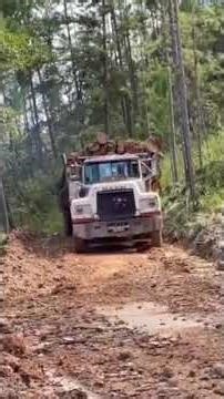 Old mack logging in the hills #automobile