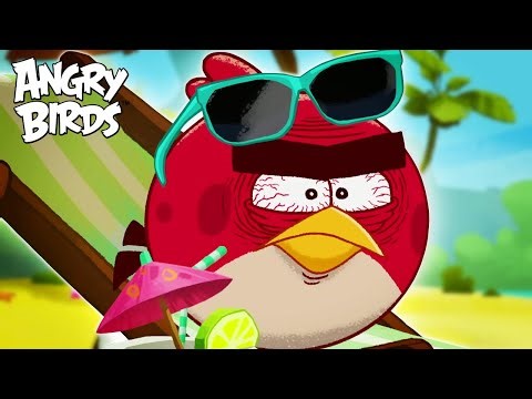 Angry Birds | Birds Gone Wild! 🏕️