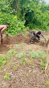 99K views · 8.6K reactions | 2025 | Real original | Facebook