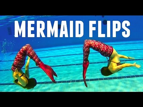 Mermaid training - FLIPS tutorial