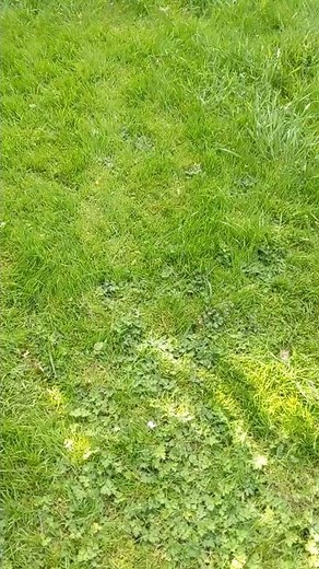 The Most Accurate Airsoft Handgun Yet