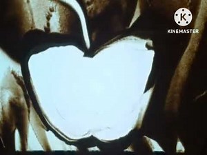 BabyFirstTV: Sandman: Apple/Banana (Vocabulary Version)