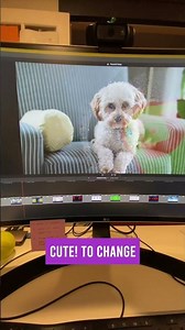Fast transitions for slideshows