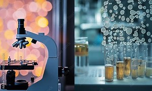 Microscope and Test Tubes in a Laboratory