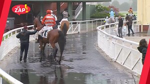 🤡 Cafouillages, démonstration de cascadeurs et voltigeurs arrosés animent ce deuxième volet estival mais humide de notre bêtisier. 👉 À défaut de soleil, profitez d'une dose de réconfort ! 😉☔️ | Equidia