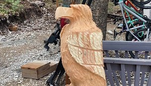 Montana. Homestead Rescue... | Marty Raney