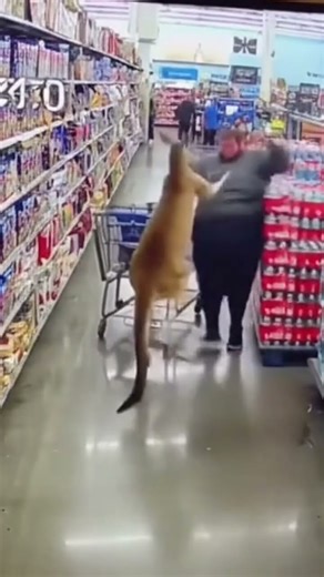 Walmart fight