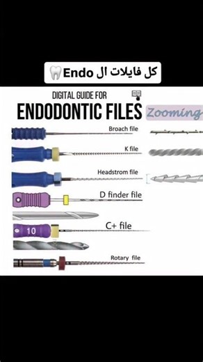 Endodontic Files in 5 seconds! 🦷✨ #dental #dentist #dental_student #طب_الأسنان #dentalstudent