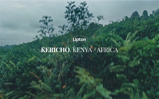 利顿水果茶系列片 剪辑设计特写分镜参考学习LIPTON 'FRUITS'