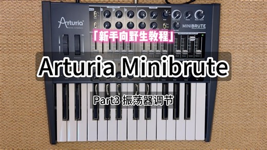 Arturia Minibrute 新手向野生教程Part3 振荡器调节