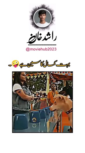 Iconic Dog Movie Scenes from Bollywood and Hollywood