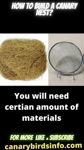 How to build a Canary Nest? Canarybirdsinfo.com