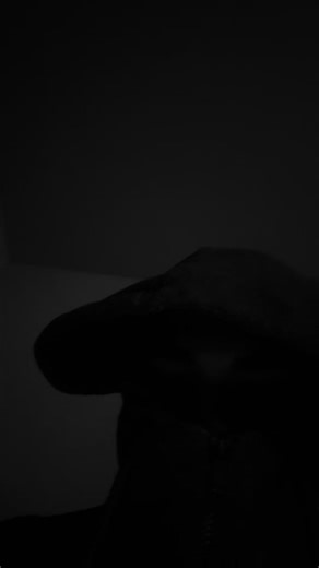 Blank card tutorial 2026 #blankcards #ccmethods #punchmadedev #scammers #fyp