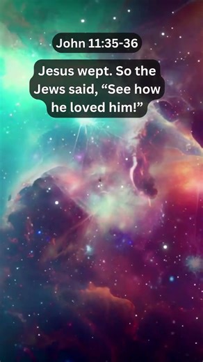 Journey of faith and spiritual growth | John 11:35-36 Daily Bible Verse