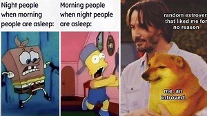 25 Funny Memes Full Of Relatable Humor