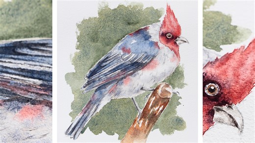 Watercolor Red-Crested Cardinal